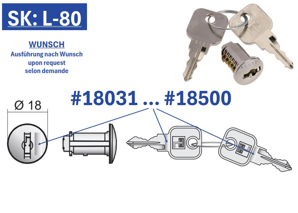 MLM Zylinderkern P2 Ø18mm [SK: L-80] - 18031 bis 18500